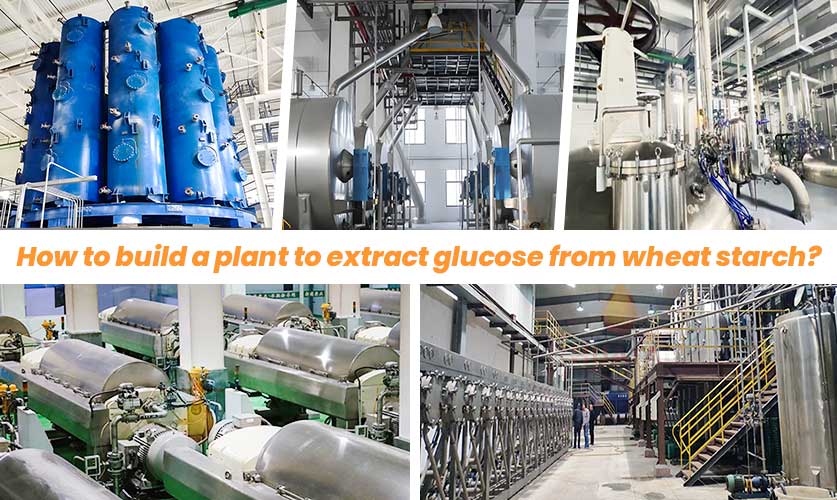 How to set up a Wheat starch glucose extraction equipment