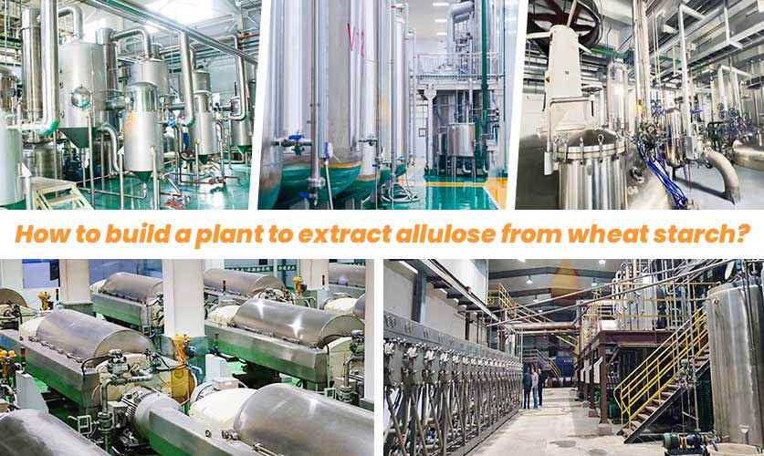 How to build Wheat Starch Extraction Equipment for Allulose