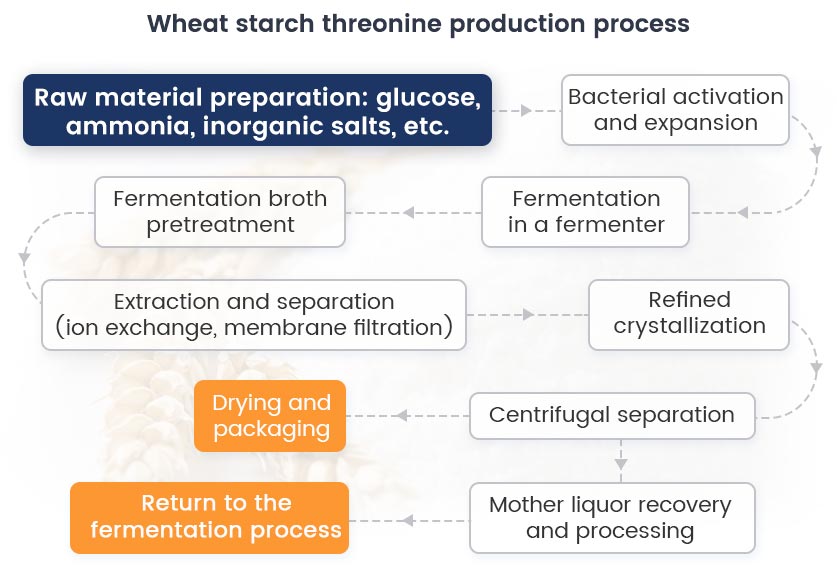 Process flow chart for producing threonine from wheat starch